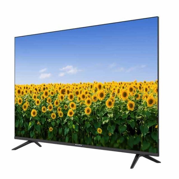 EcoStar CX-50UD963 A+ LED TV