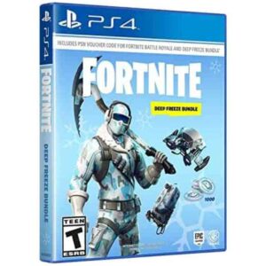 PS4 Fortnite Deep Freeze Bundle